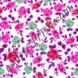 Colour:B