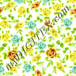 Colour:K