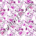 Colour:B
