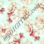 Colour:K