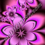 Colour:A