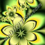 Colour:C