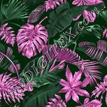 Colour:B