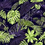 Colour:D
