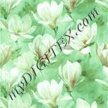 Colour:K