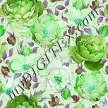 Colour:C