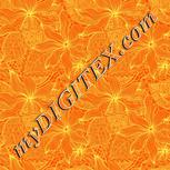 Colour:F