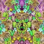 Colour:D