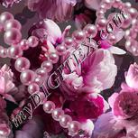 Colour:B