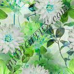 Colour:C