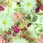 Colour:K