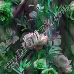Colour:C