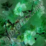 Colour:C