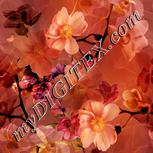 Colour:J