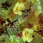 Colour:K