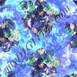 Colour:F
