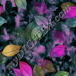 Colour:B