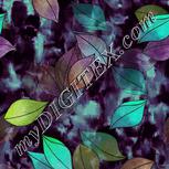 Colour:C