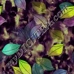Colour:D