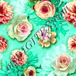 Colour:K