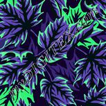 Colour:D