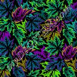 Colour:D