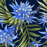 Colour:A