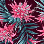 Colour:C