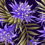 Colour:D