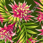 Colour:K