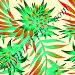 Colour:F