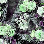 Colour:C