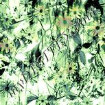 Colour:K