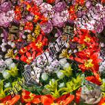 Colour:A