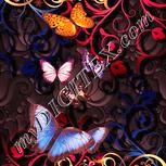 Colour:J