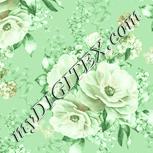 Colour:K