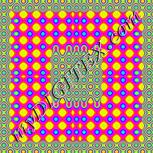 Colour:F