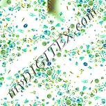 Colour:K