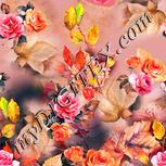 Colour:J