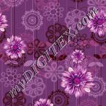 Colour:B