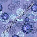 Colour:F