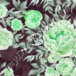 Colour:C