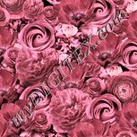 Colour:J