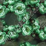 Colour:D