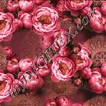 Colour:J