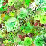 Colour:D