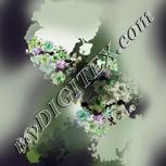 Colour:D