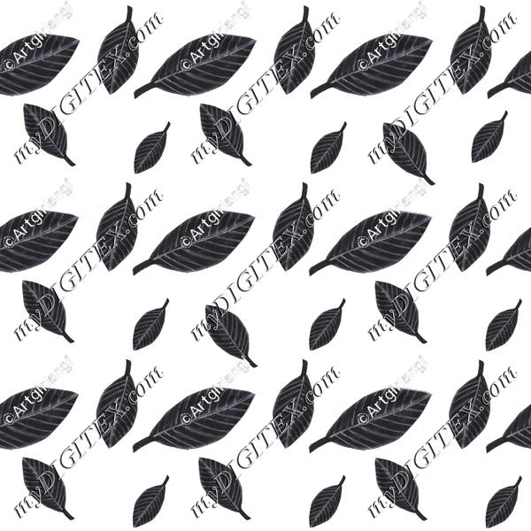 Dinosaur_blackleaf_coordinate_AngelaRobertson-01