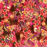 Colour:J