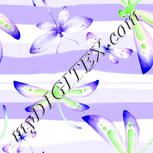 Colour:B